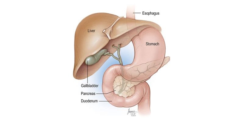 LAPAROSCOPY